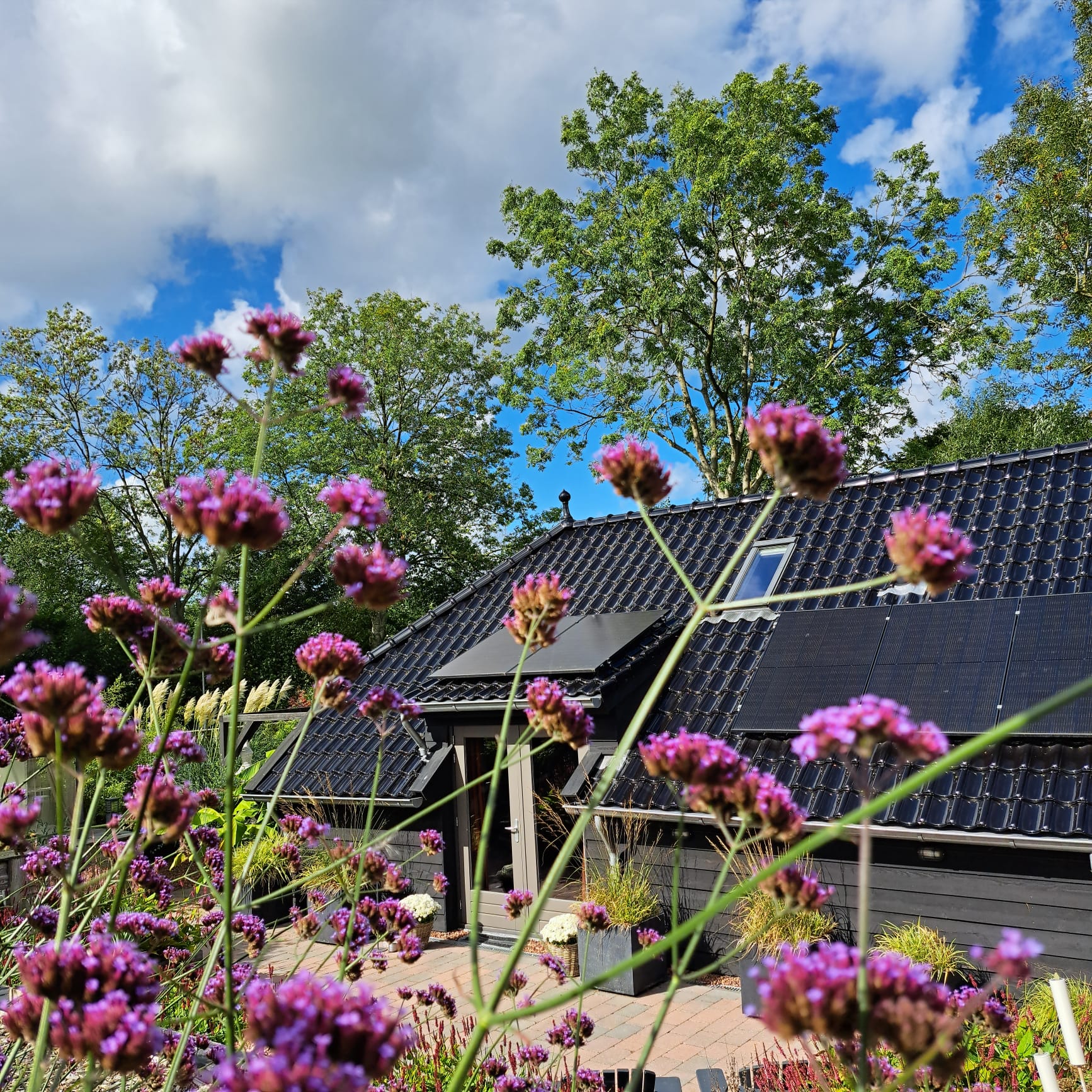 4 Op Dokkum - Accommodatie - Gastenverblijf - 5